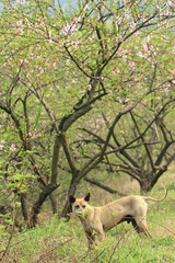 IMG_6221.JPG