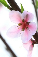 IMG_6222.JPG