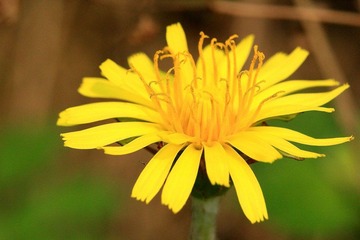 IMG_6244.JPG