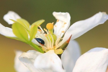 IMG_6255.JPG