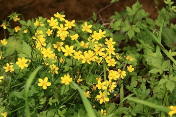 IMG_6259.JPG