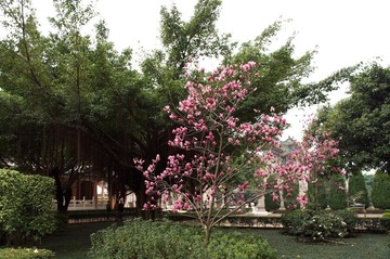 IMGP5796_1.jpg