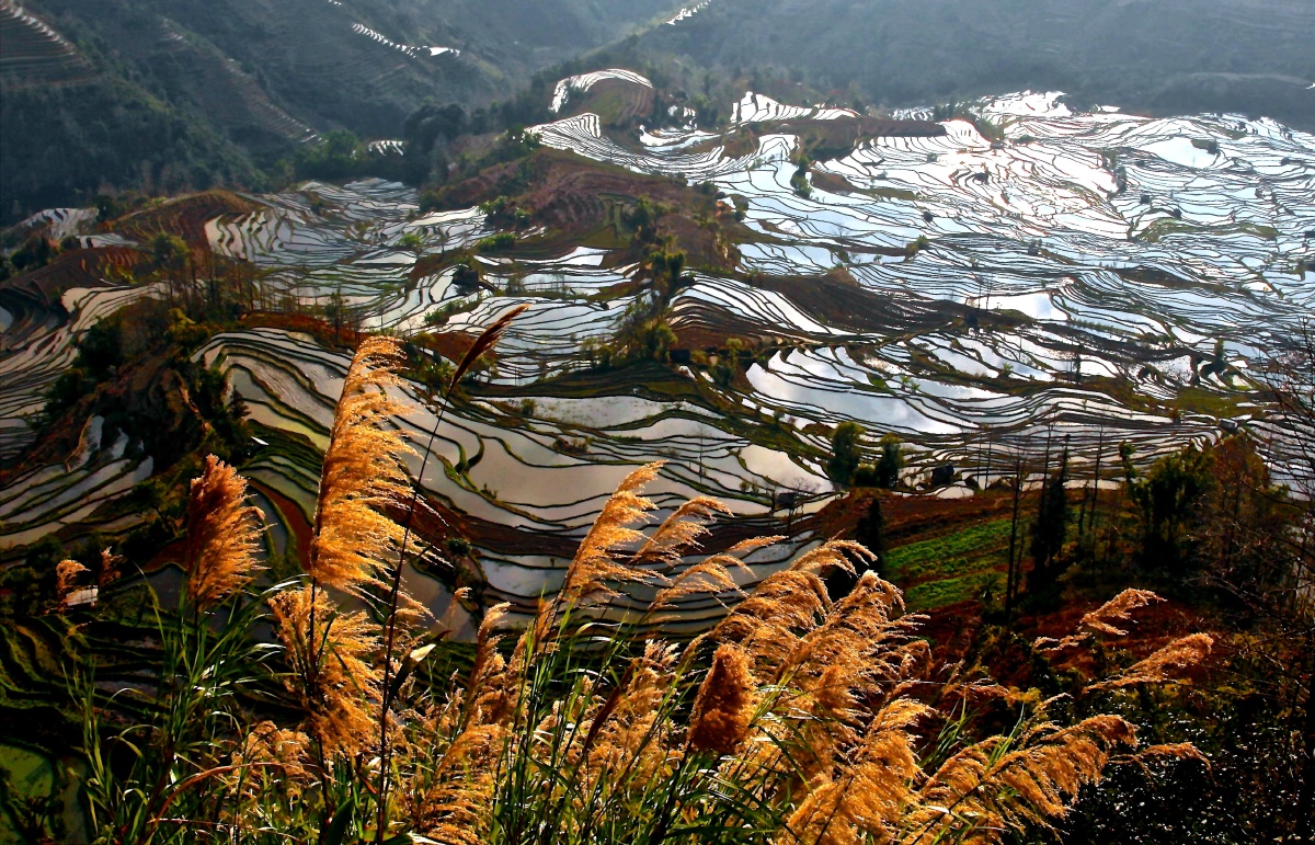 哀牢山上的梯田令人心驰神往