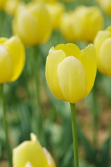 495850F6-5F6C-42C9-9700-F27BEE41D5E8/L0/001