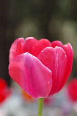 22B234F7-162B-40FC-9132-760E0FDB2AA3/L0/001