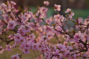 B1607B22-E4C5-463C-A963-8400E4EA5690/L0/001