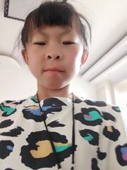 41254