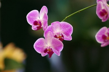 IMGP8398.jpg