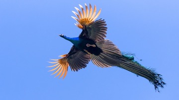 559197