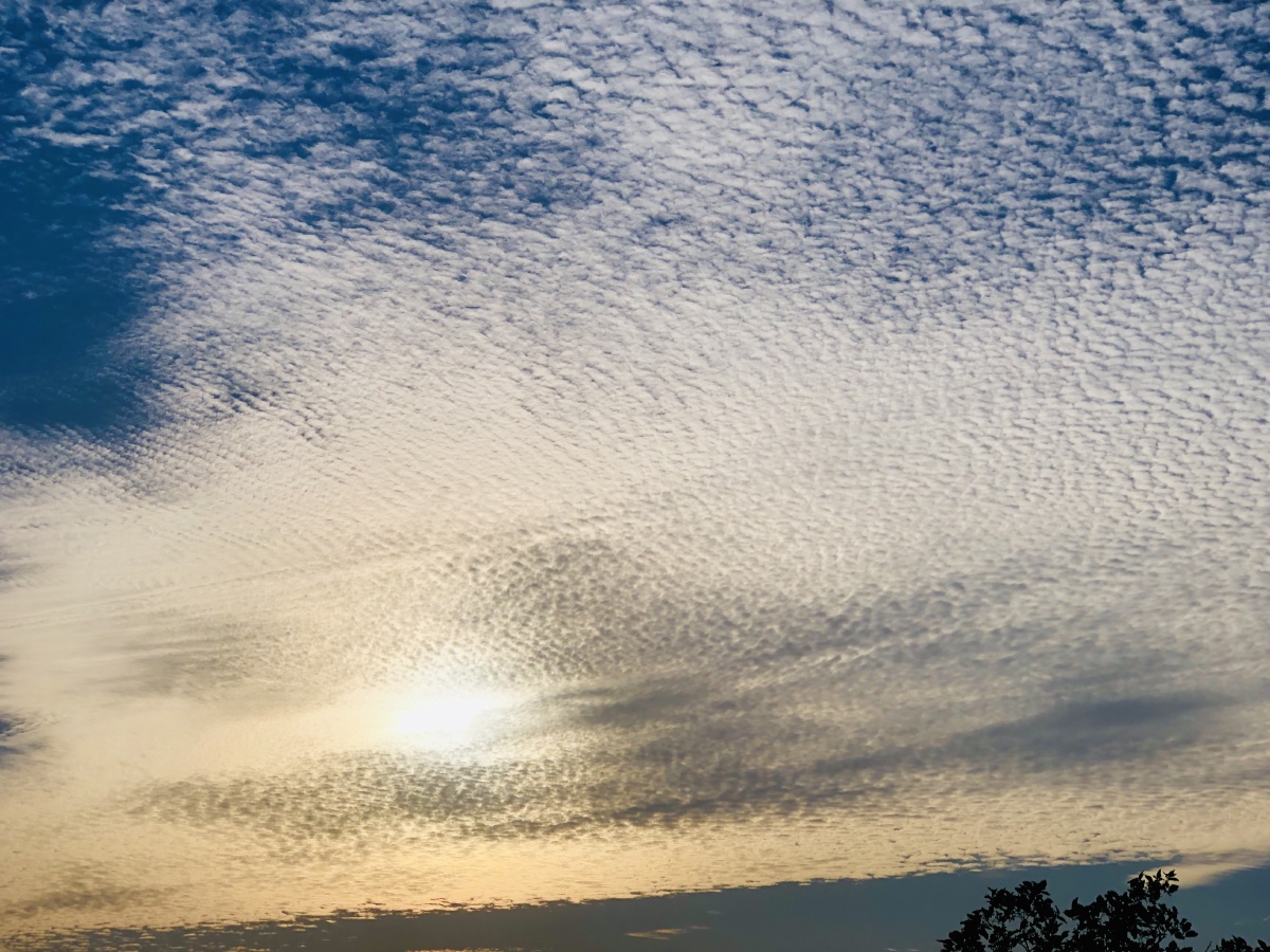 观云像水波一样的积云