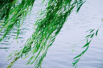50DB87C2-D460-4D61-9119-EE962E914858/L0/001