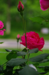 20D57FA2-E3A1-4A3C-BCC8-2F36EBC63D8E/L0/001