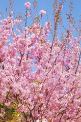 CF01DE5C-5D8C-4601-97DF-2C1091B47FD8/L0/001