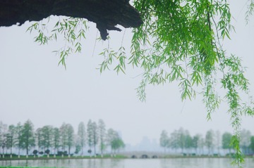 FD714F8F-2E2F-476E-8A0B-3BD920BA1AD5/L0/001