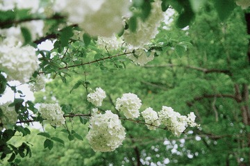 65426CC4-B7E5-44A7-B064-7C8F8CB701EB/L0/001