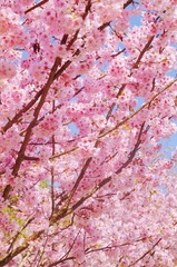 F3C10567-3668-4BD2-9CD3-56A4948F17DF/L0/001
