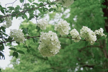 4B98FDB2-A4F8-465A-A828-6DD106C785BA/L0/001