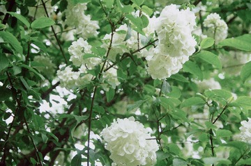 962FB5B2-3D54-45BC-B4AD-77593F10F1F3/L0/001