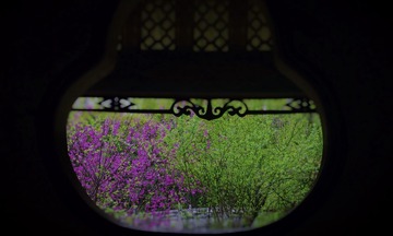 2D70CFCF-D857-455B-BFEF-D753F1213EF9/L0/001