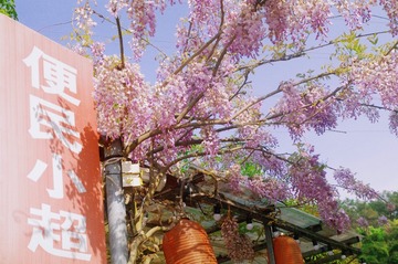 AB73A798-46CB-489C-A16B-547E1077455B/L0/001