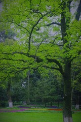 9D132A2C-EE2E-4125-ADE8-6ADA74C12489/L0/001