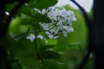C49878BE-2962-4E9C-83EF-48CC4DC72E87/L0/001