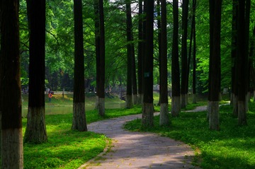 239F1F95-F897-4EFE-8777-F0B5C1083742/L0/001