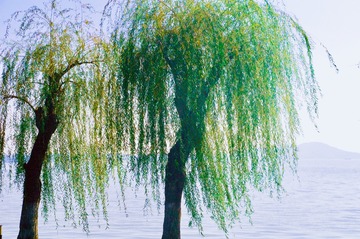 4444C5C7-314A-46CF-9AE2-3BD1DCEFA1A8/L0/001