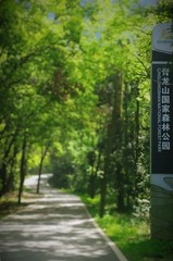 5488E53D-3C72-444F-B290-E61DB91FE9D5/L0/001