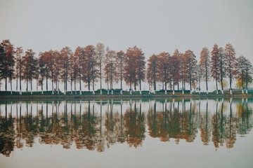 6CBFB0EF-E762-42A1-AB9D-9977F1EA66FA/L0/001