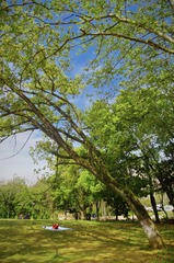 65BB180D-E735-4C3E-9175-04100B9DEE38/L0/001