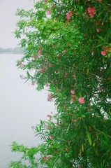 0A369217-2088-4CDE-B4D8-18609AD42572/L0/001