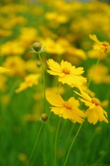 16D792C5-B46E-45EF-A32B-C5D477CD3DFE/L0/001