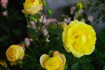 0DC15A6E-B959-4892-8C97-23D37B347A30/L0/001