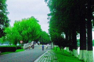 7878B4AA-5C53-4613-BD2F-241AC4DAB263/L0/001