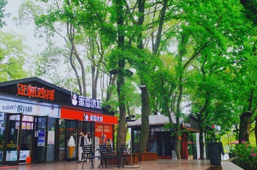 E121F8F5-98F3-4CD4-A11F-F6CAF1C81577/L0/001
