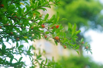 108A7350-AE56-4F8A-B7A7-7042BF8C76E6/L0/001