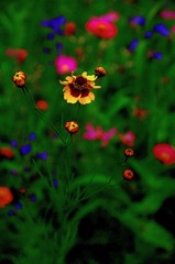 2980824C-7613-4CF2-8671-9EA50CF12AF9/L0/001