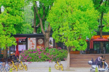 8B1931B5-E197-48F0-95D0-A360EF6A14AC/L0/001