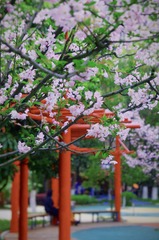 F6980620-C835-460B-A8D5-B7A10D3EC1AB/L0/001