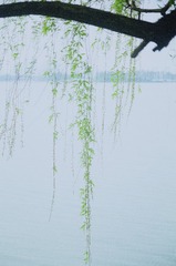 F98AB008-0EFE-4B39-9255-B0A6FAEF9F32/L0/001