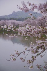 3B738F6A-B610-4647-B7F1-FE687E34CEC6/L0/001