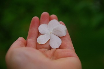 939C8140-C8F9-471B-9E8F-31F75CC2E8A9/L0/001