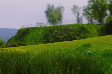8411C151-B2CC-4F16-8EAD-6C674334A8C3/L0/001