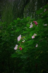 D5B80DEB-6DF6-46EB-9E09-AB8C22C21FD2/L0/001
