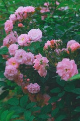 A2B80985-6A5C-4A63-8C3C-80A381CB8D97/L0/001