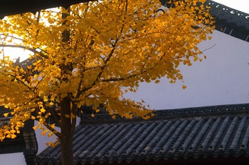 3216F27D-AC72-49F3-B4C7-7F52AE5DE448/L0/001