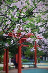 F6980620-C835-460B-A8D5-B7A10D3EC1AB/L0/001