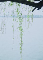 F98AB008-0EFE-4B39-9255-B0A6FAEF9F32/L0/001