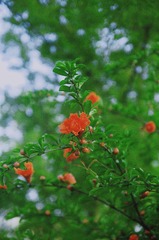 5D798FB7-090C-4B32-B877-BFBB73921753/L0/001
